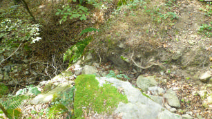 Source du Marava